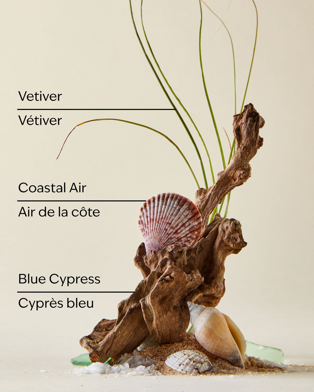 Ocean Mini Gift Set image 3