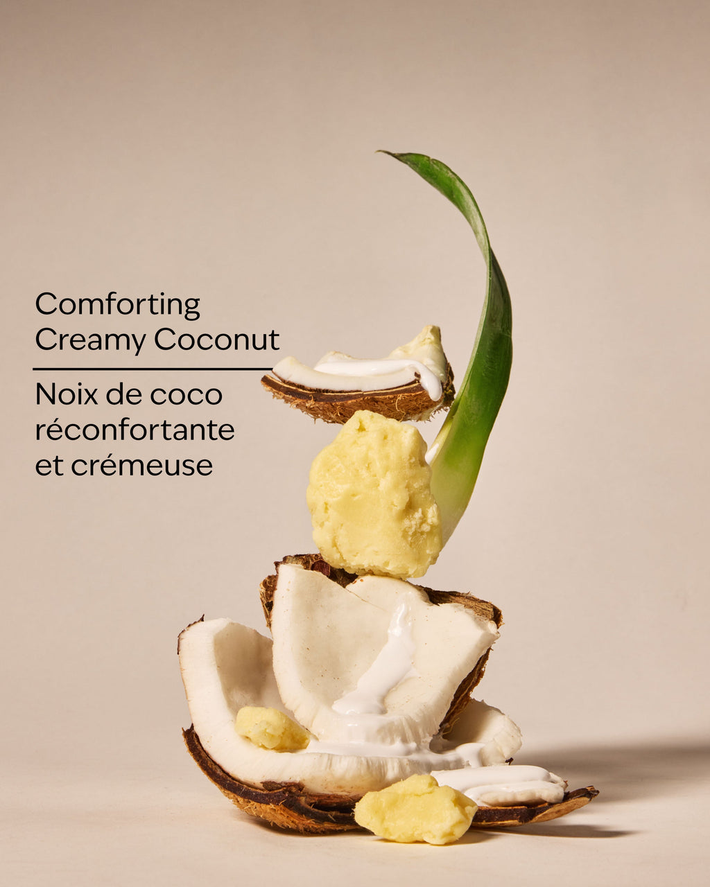 Coco Shea Rich Moisture Moisturizing Body Wash image 3