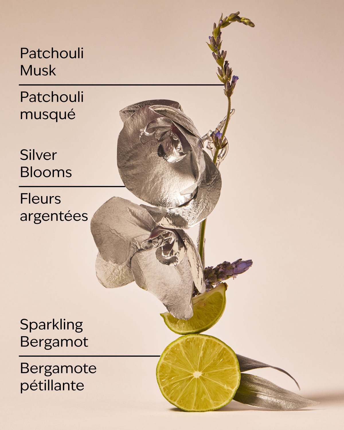 Platinum Body Wash image 3