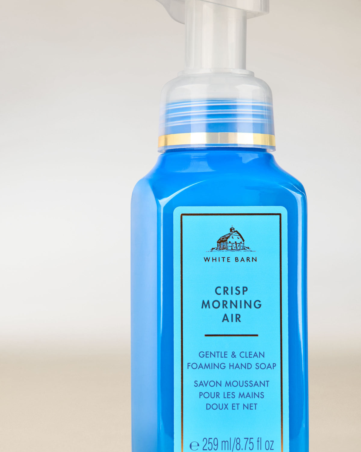 Crisp Morning Air Gentle & Clean Foaming Hand Soap image 2