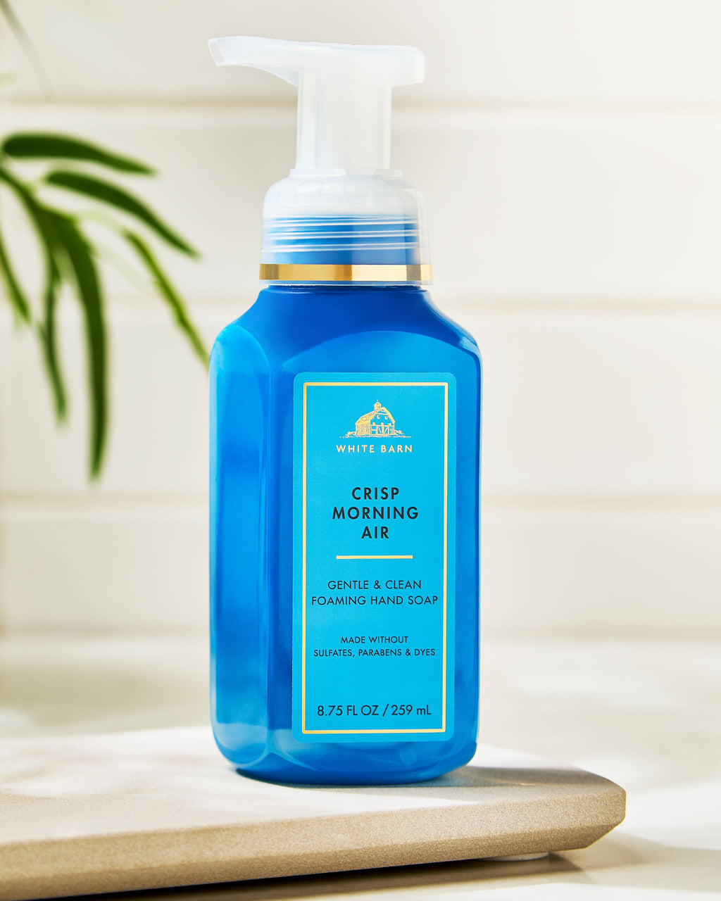 Crisp Morning Air Gentle & Clean Foaming Hand Soap image 7