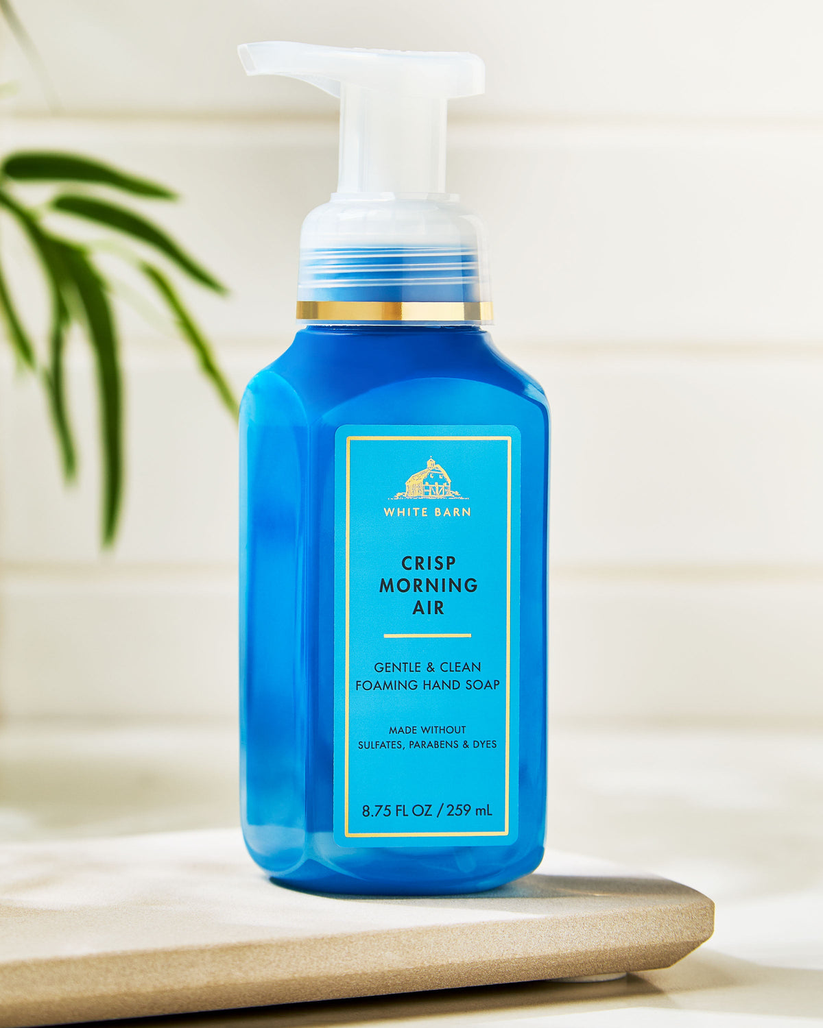 Crisp Morning Air Gentle & Clean Foaming Hand Soap image 7