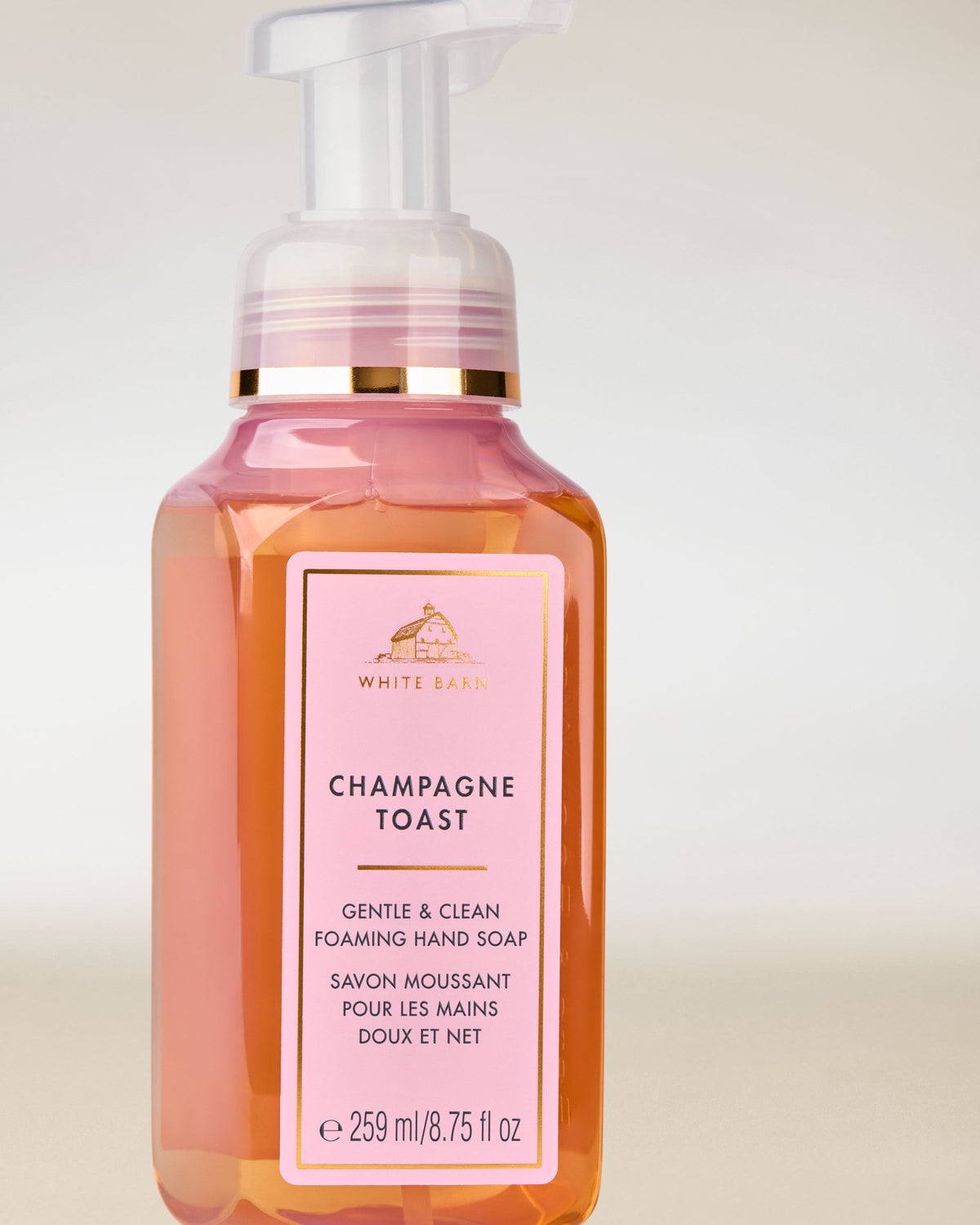 Champagne Toast Gentle & Clean Foaming Hand Soap image 2