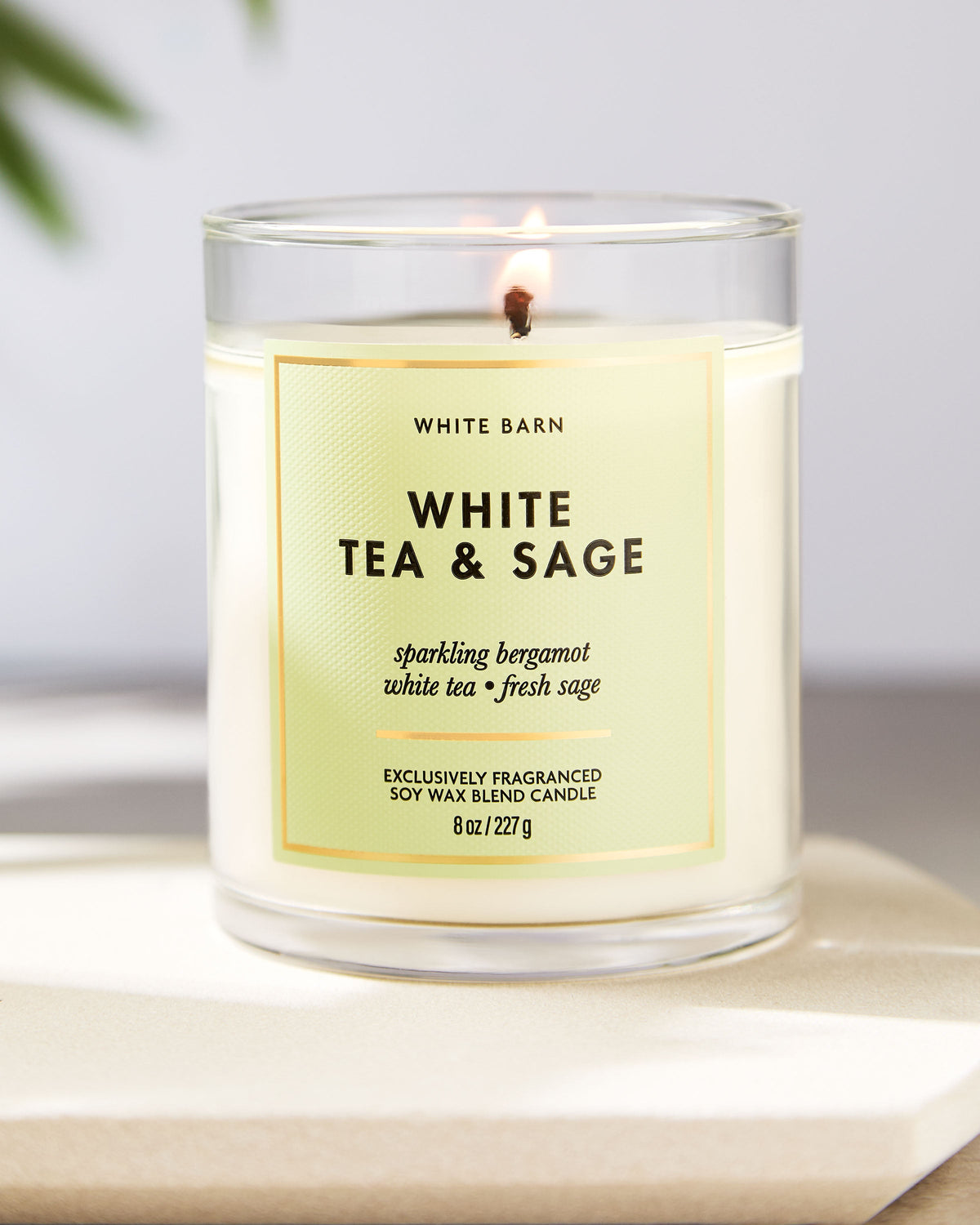 White Tea & Sage Single Wick Candle image 6