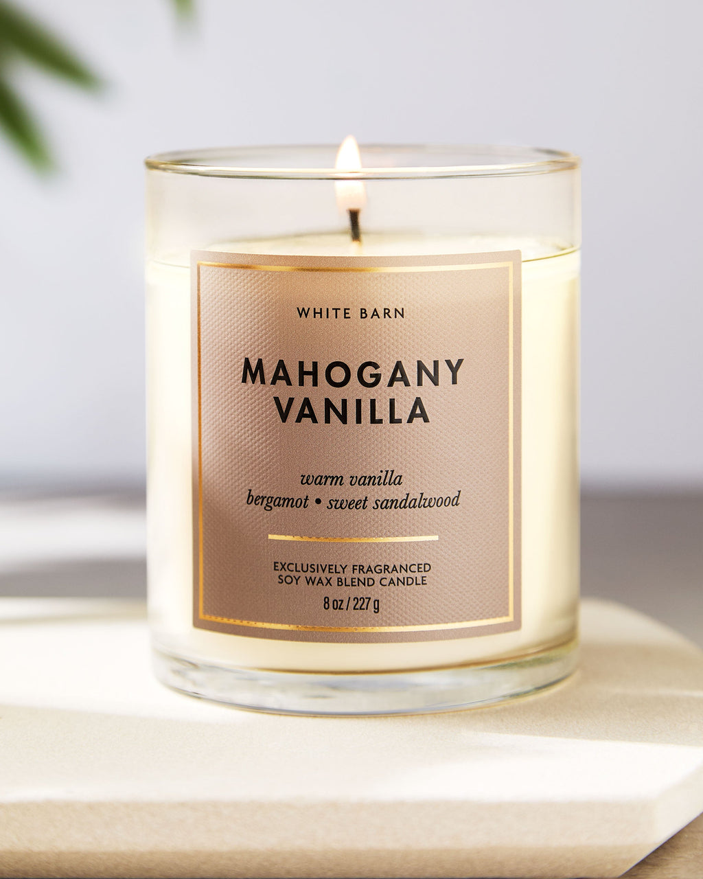 Mahogany Vanilla Single Wick Candle image 6