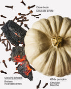 Pumpkin Bonfire Wallflowers Fragrance Refill image 2