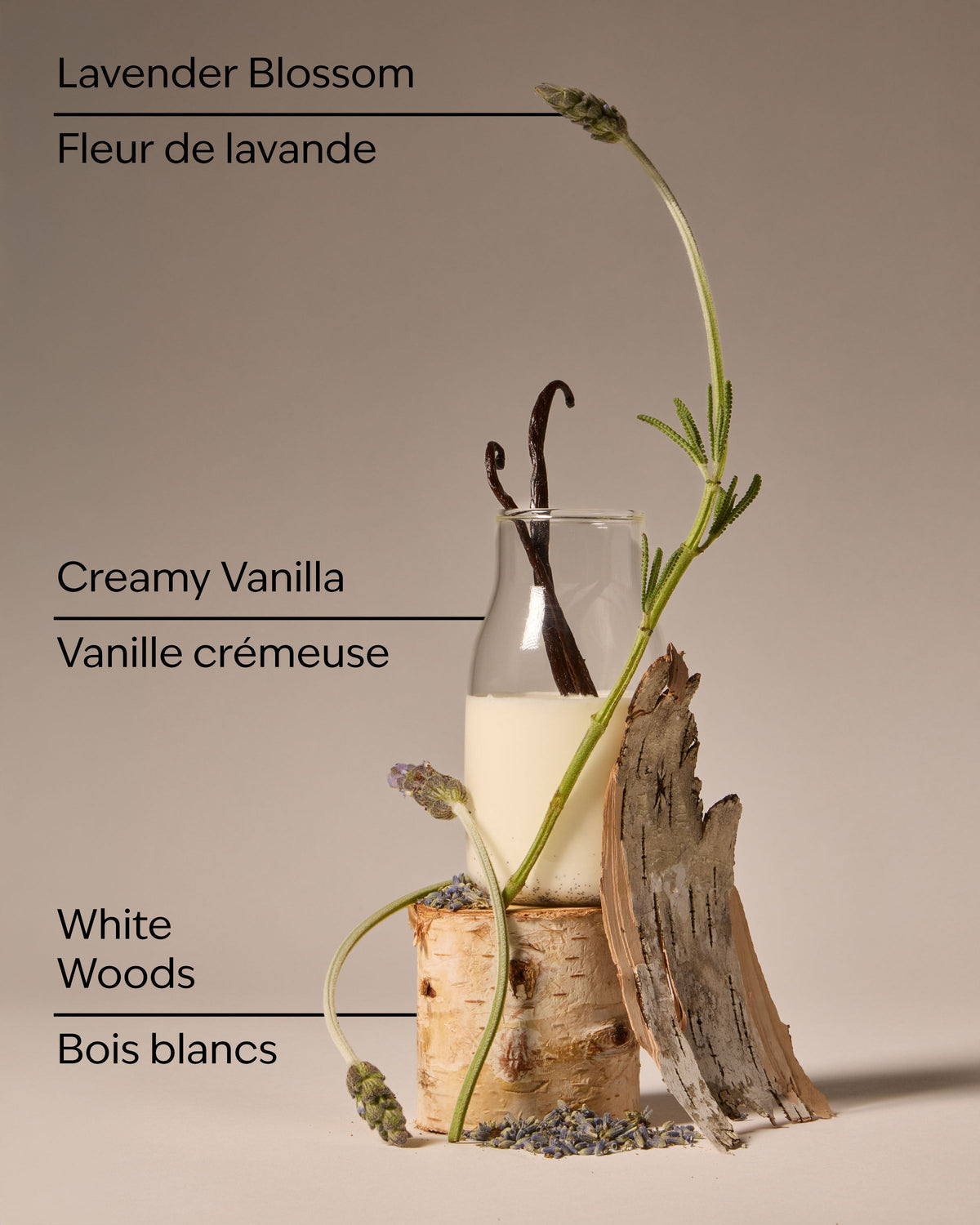 Lavender Vanilla Wallflowers Fragrance Refill image 3