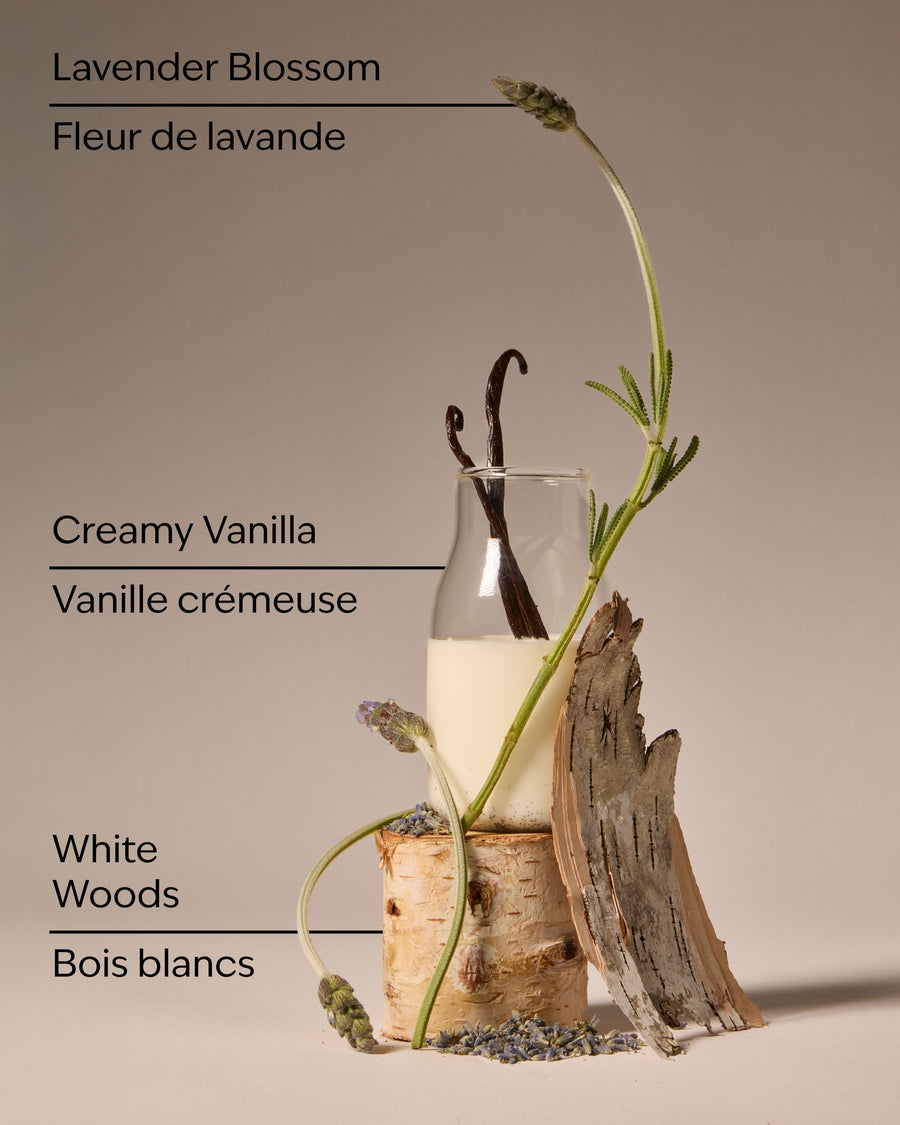 Lavender Vanilla Wallflowers Fragrance Refill image 3