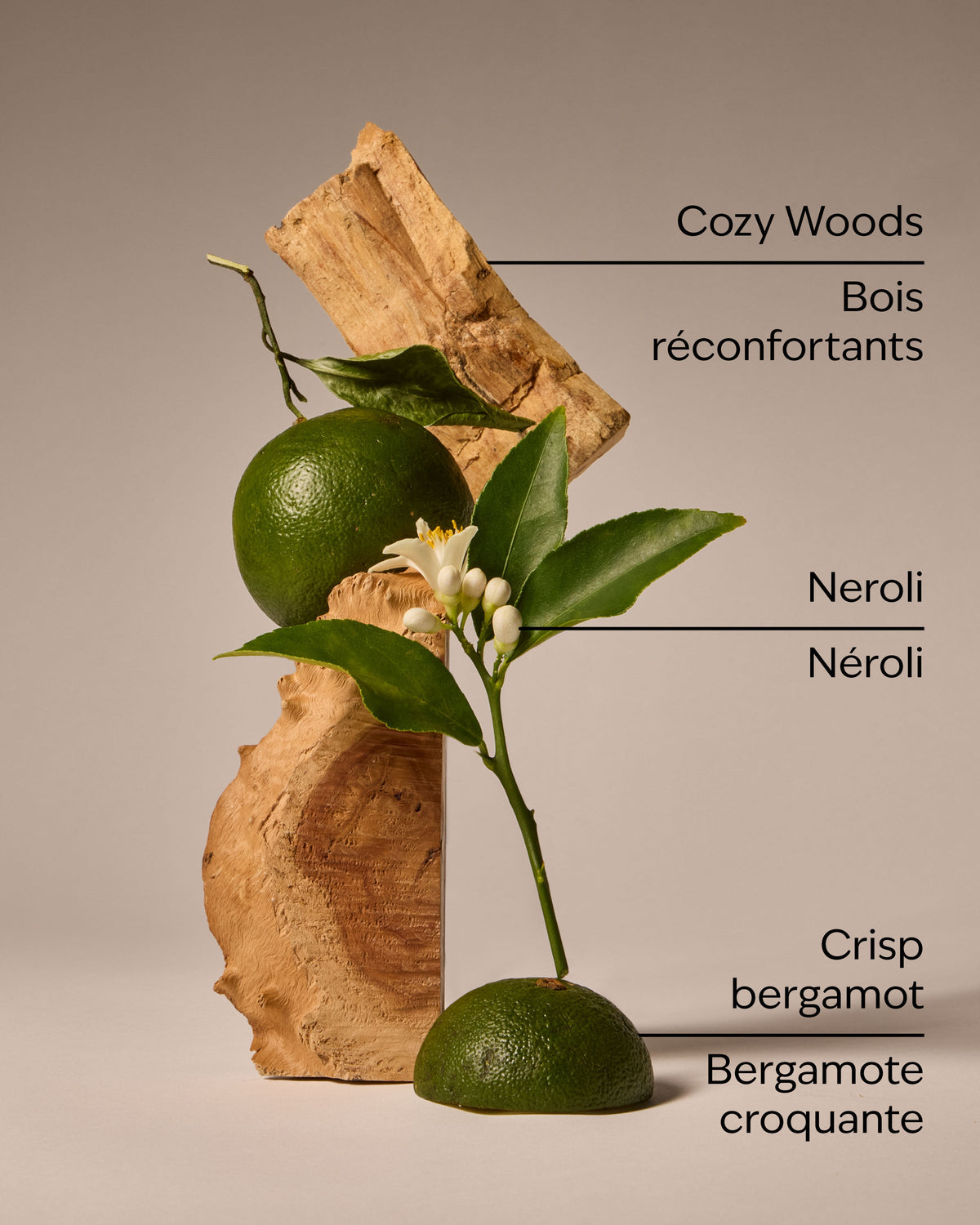 Book Loft Wallflowers Fragrance Refill image 3