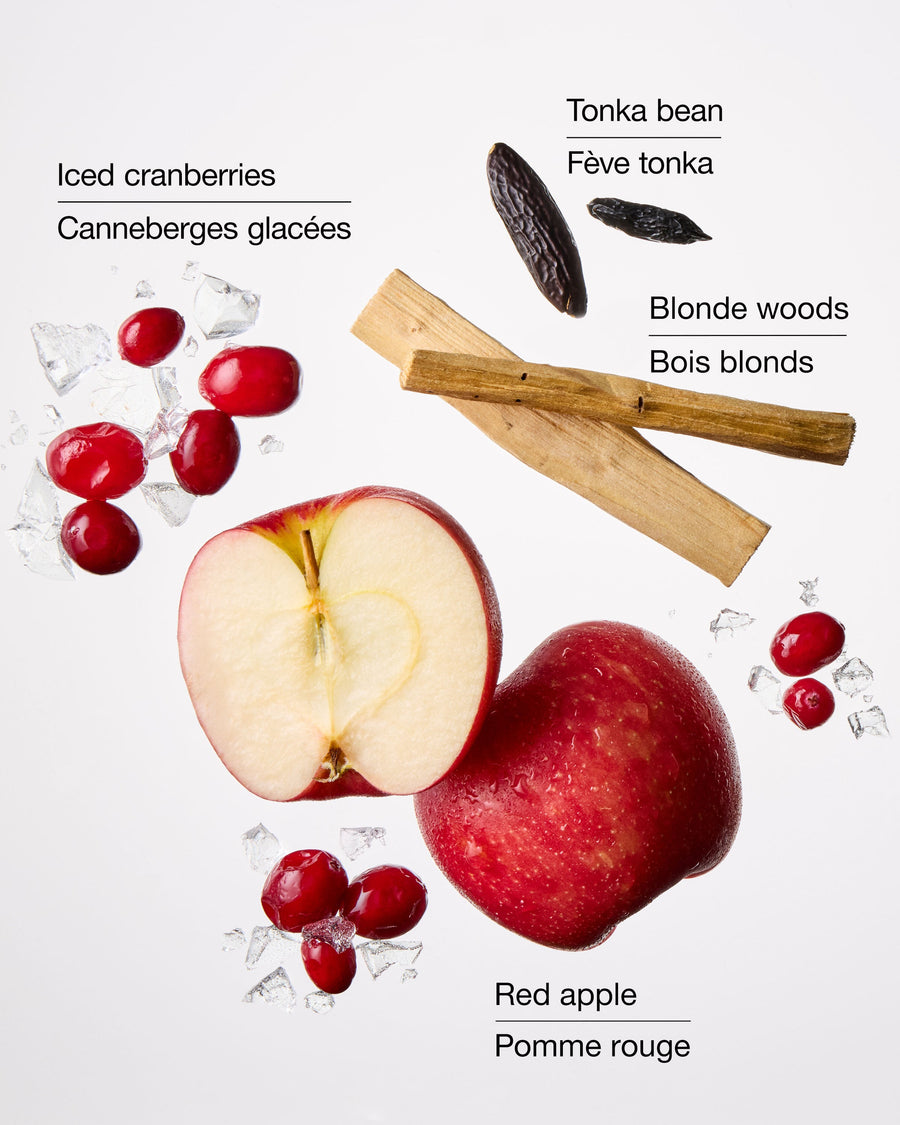 Frosted Cranberry Wallflowers Fragrance Refill image 2