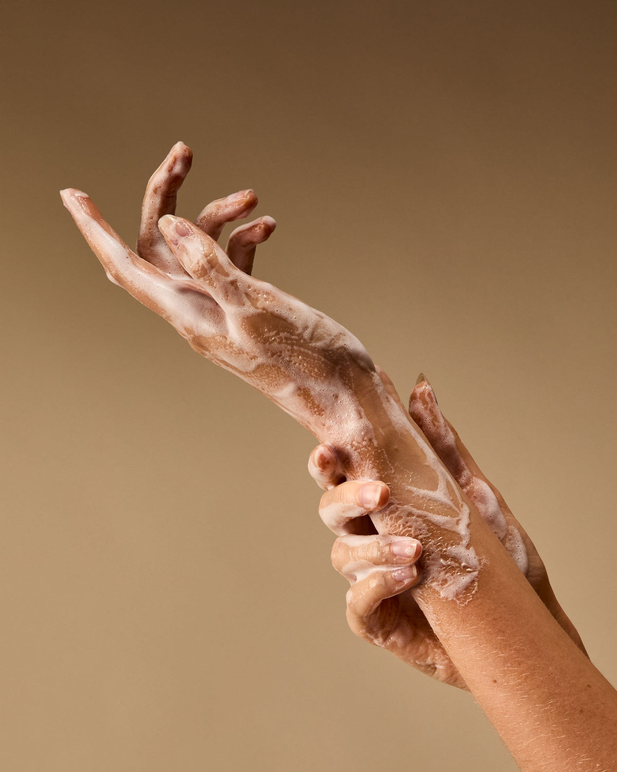 Champagne Toast Gentle & Clean Foaming Hand Soap Refill image 4