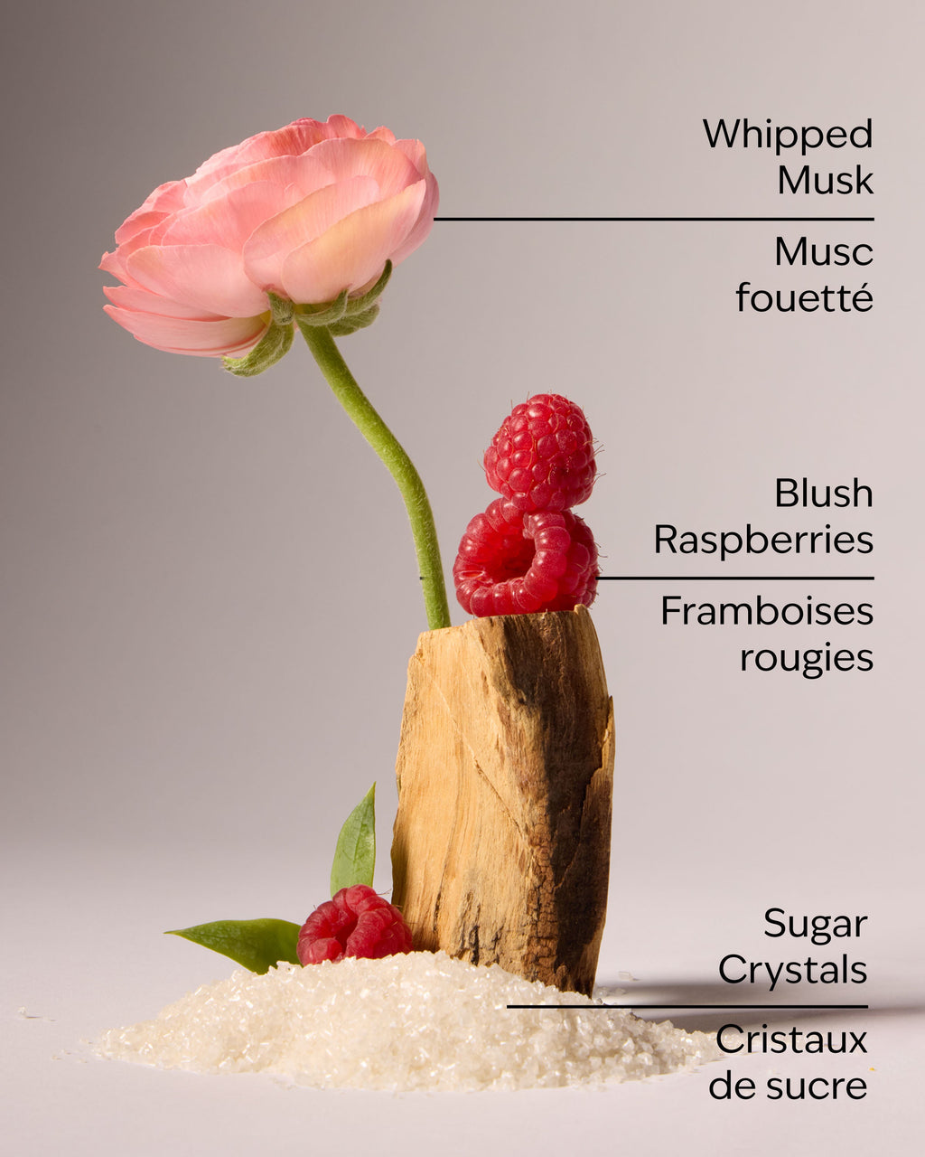 Sweetest Song Creamy Body Scrub image 3
