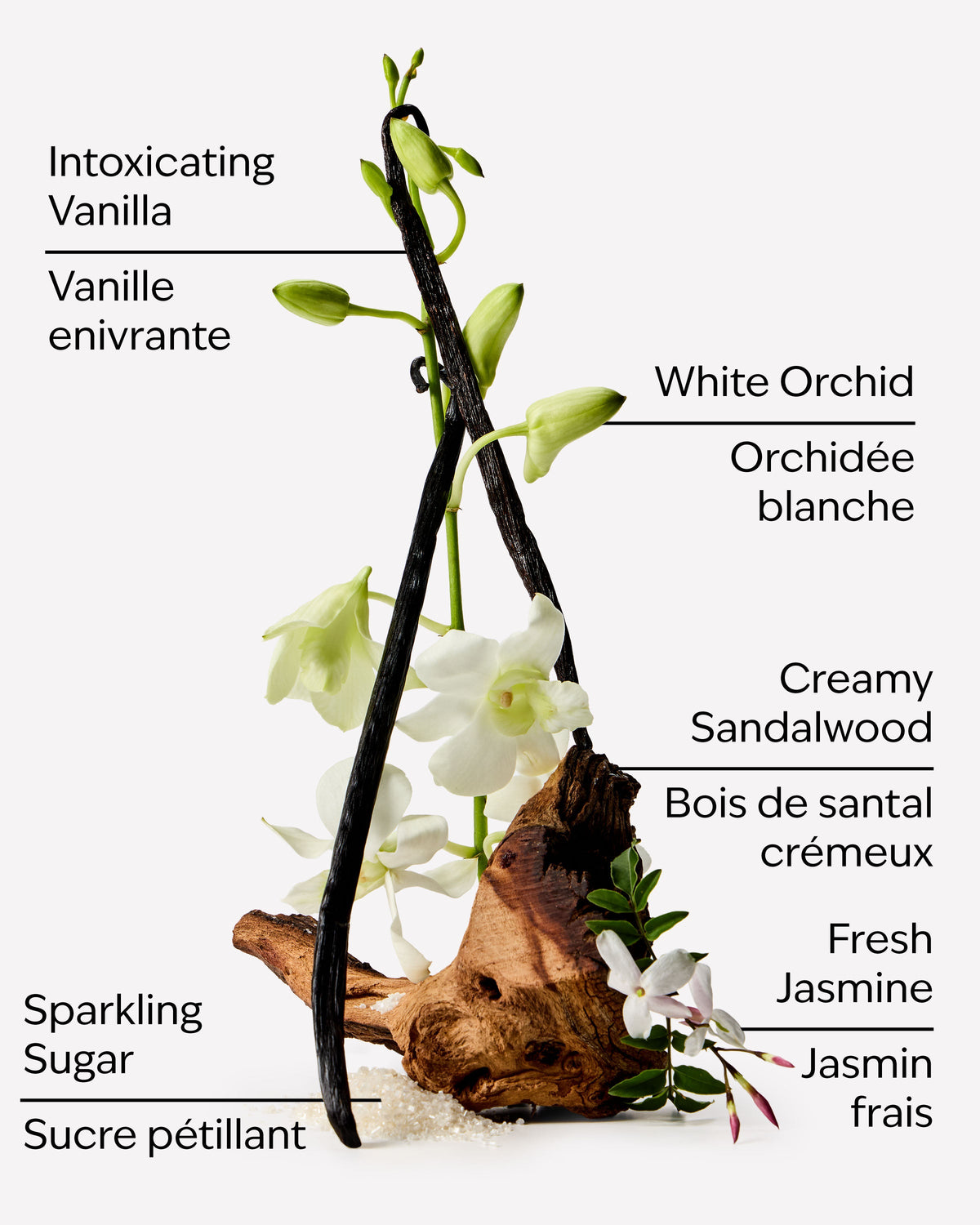 Warm Vanilla Sugar Body Wash image 3