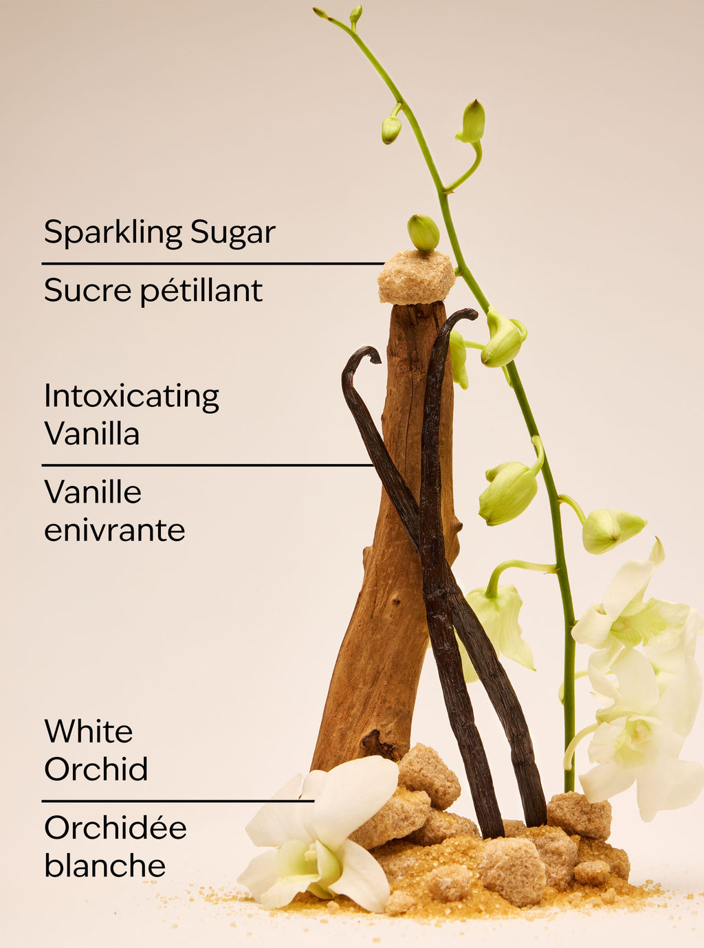 Warm Vanilla Sugar Body Lotion image 3