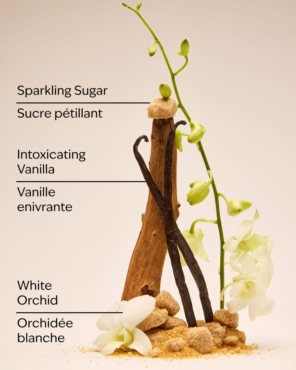 Warm Vanilla Sugar Travel Size Fine Fragrance Mist image 3