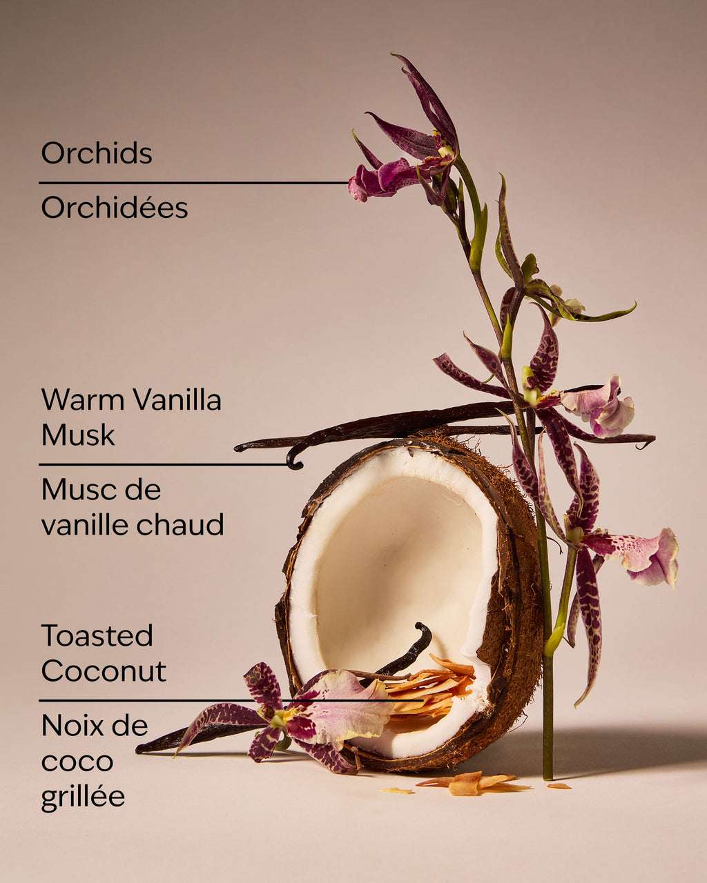 Tiki Beach Car Fragrance Refill image 3