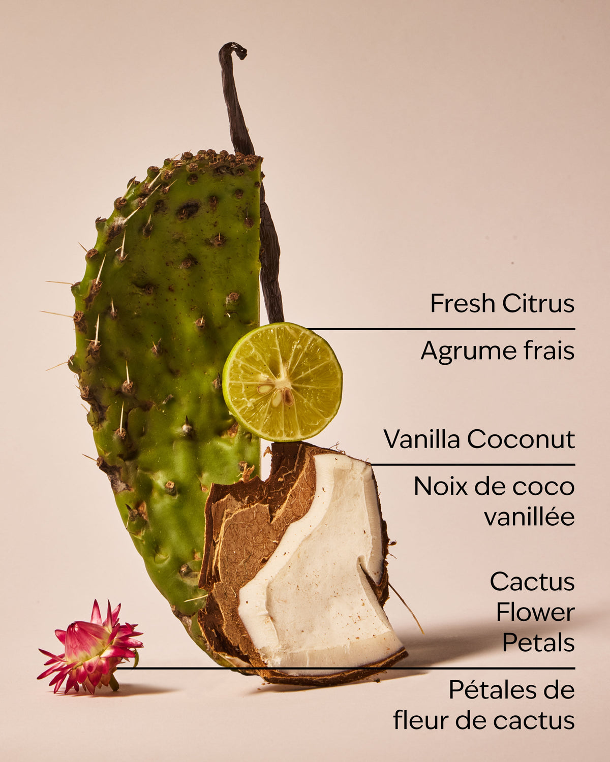 Cactus Blossom Car Fragrance Refill image 3