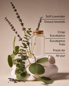 Laundry Day Car Fragrance Refill image 2