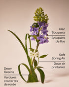 Fresh Cut Lilacs Wallflowers Fragrance Refill image 3