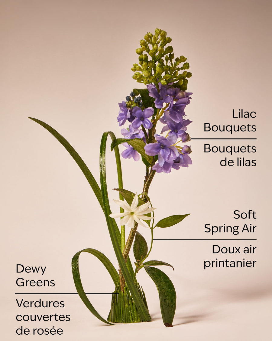 Fresh Cut Lilacs Wallflowers Fragrance Refill image 3