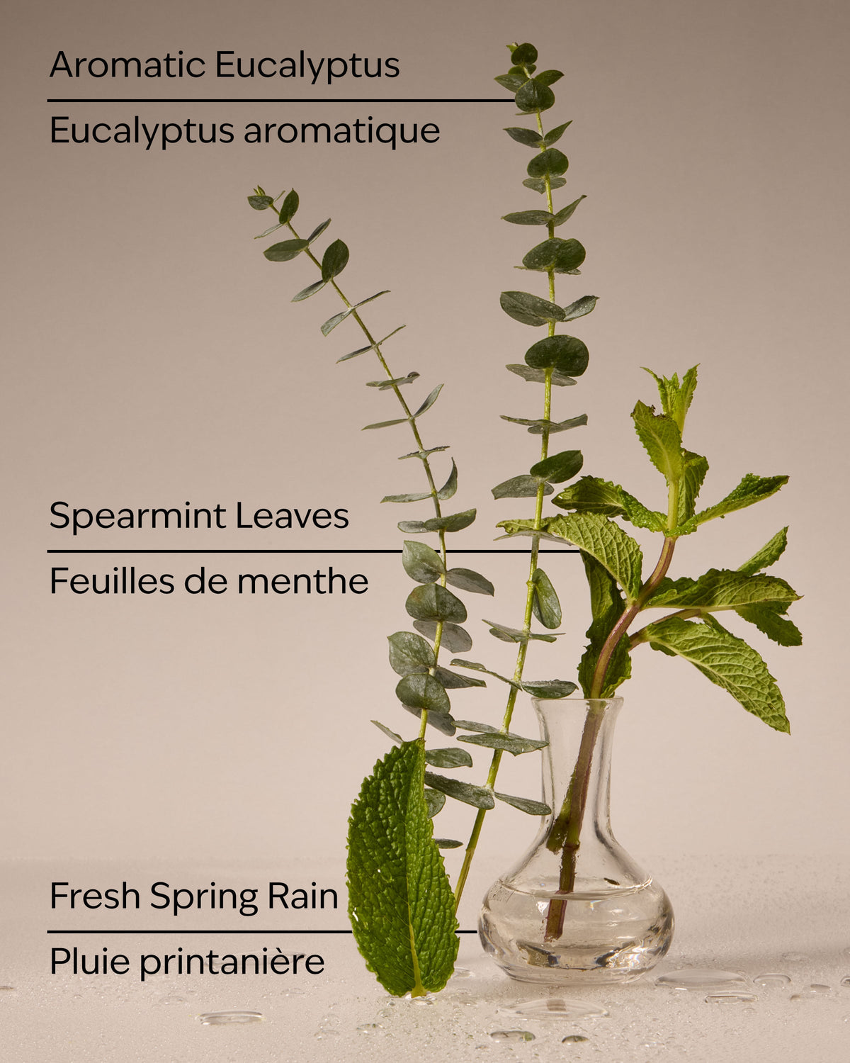 Eucalyptus Rain Wallflowers Fragrance Refill image 3