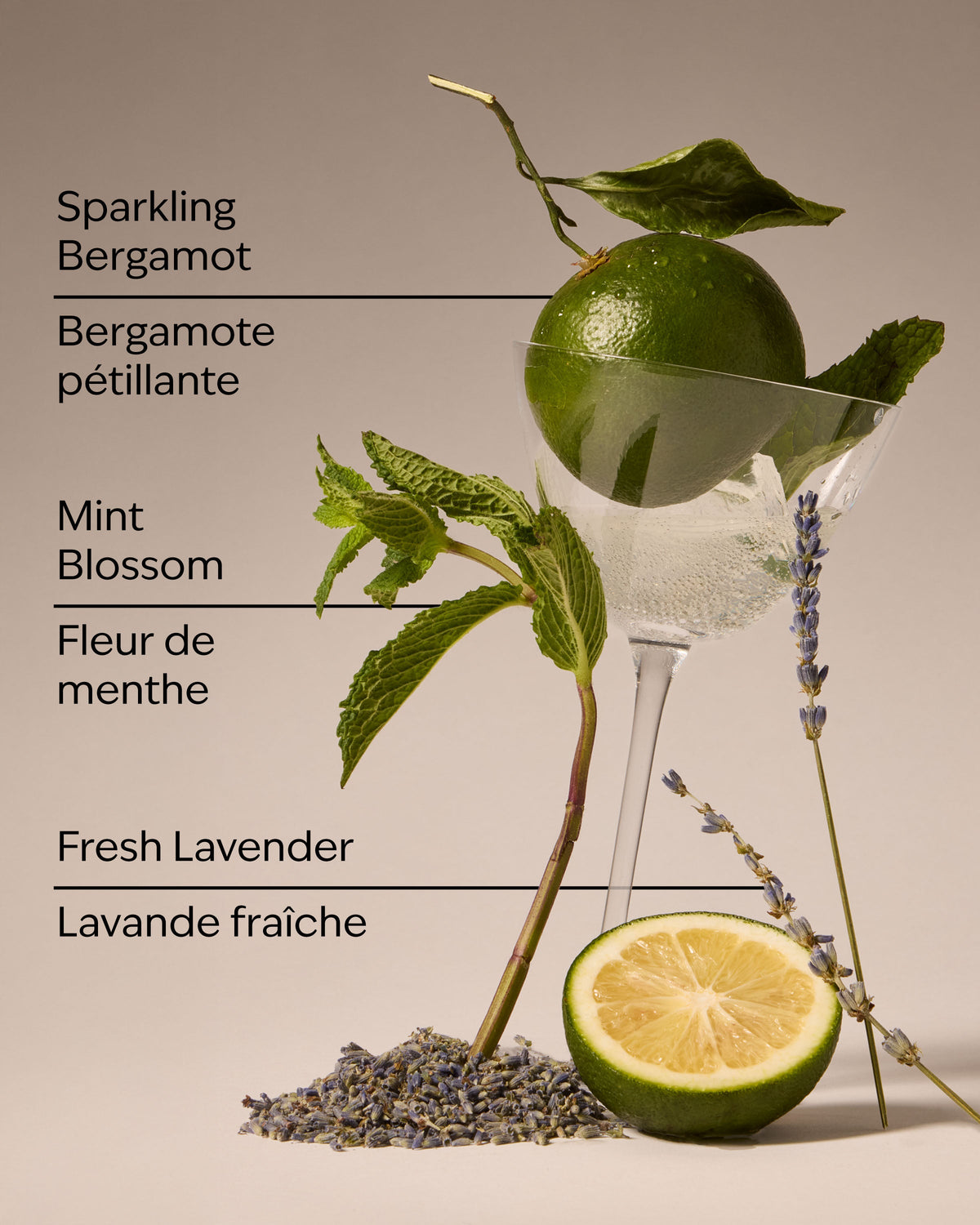 Clean House Vibes Wallflowers Fragrance Refill image 3