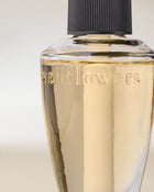 Coffee & Whiskey Wallflowers Fragrance Refill image 2