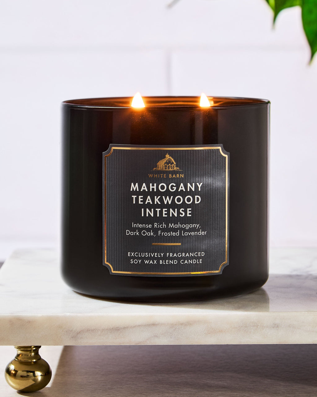 Mahogany Teakwood Intense 3-Wick Candle image 6