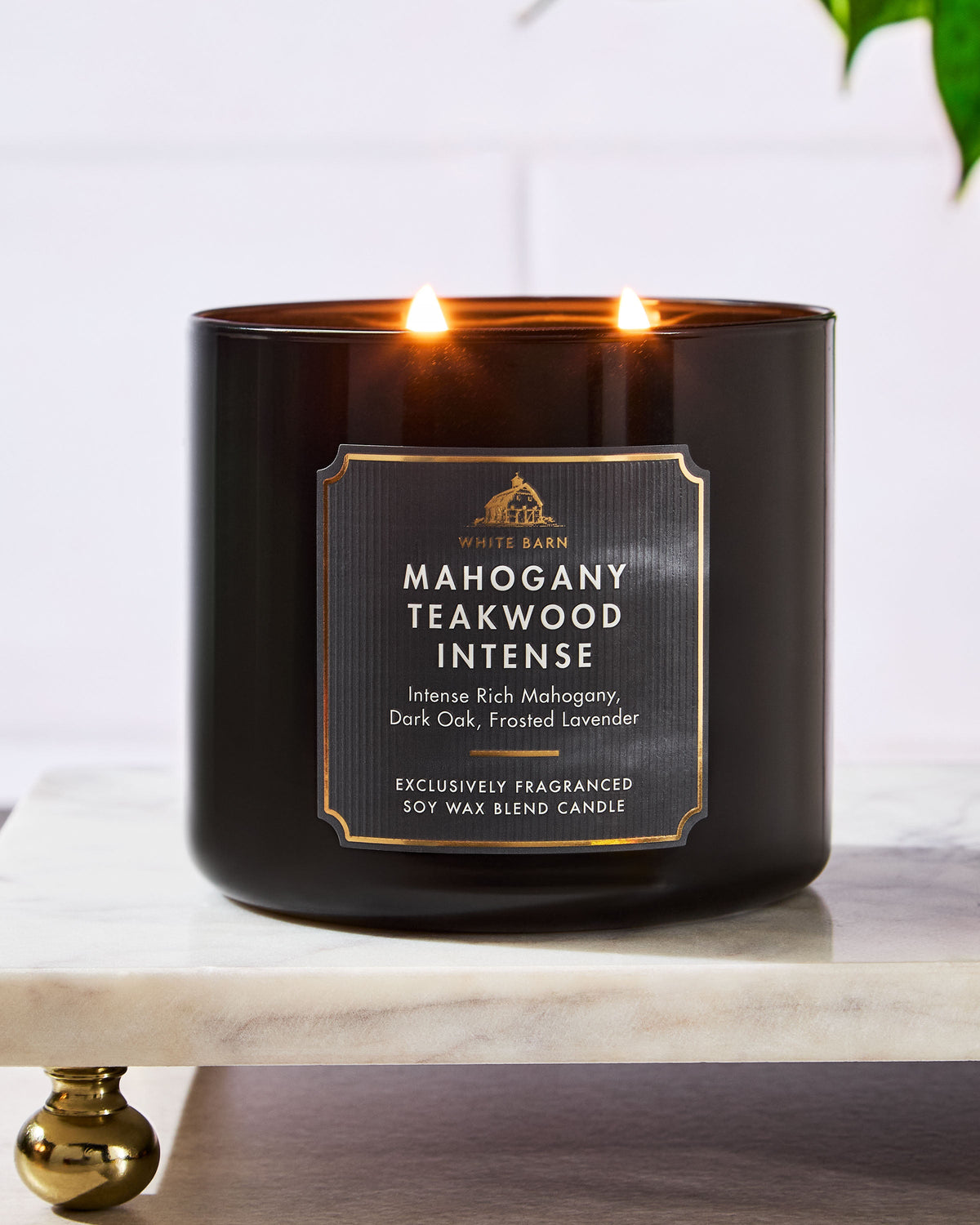 Mahogany Teakwood Intense 3-Wick Candle image 6