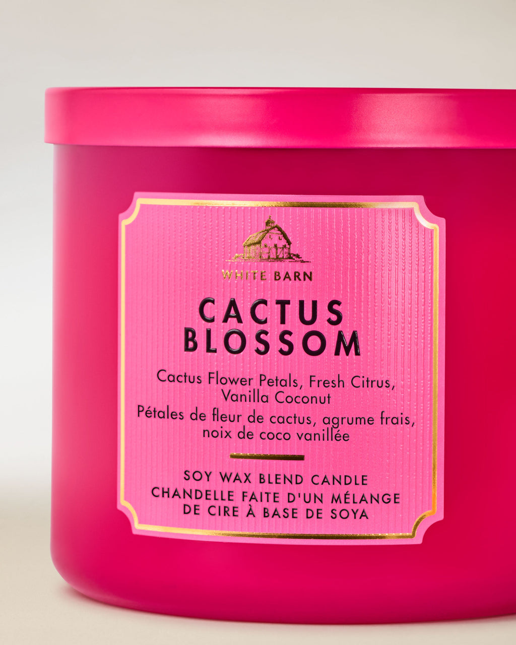 Cactus Blossom 3-Wick Candle image 2