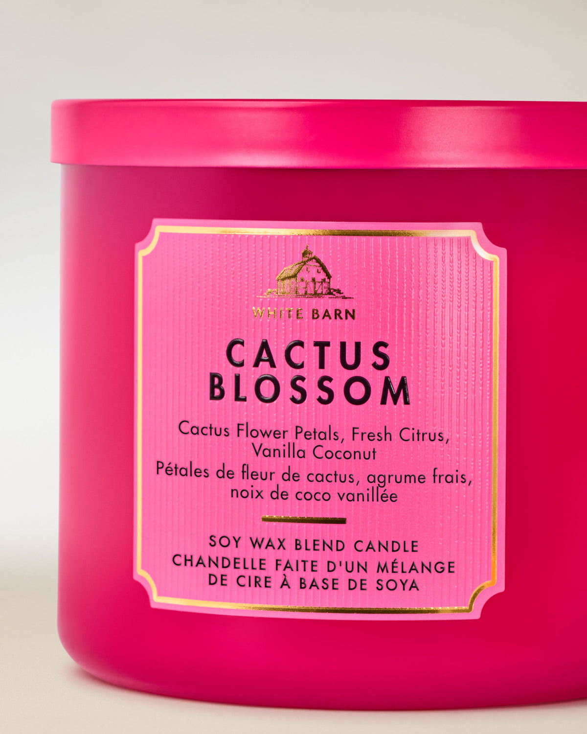 Cactus Blossom 3-Wick Candle image 2