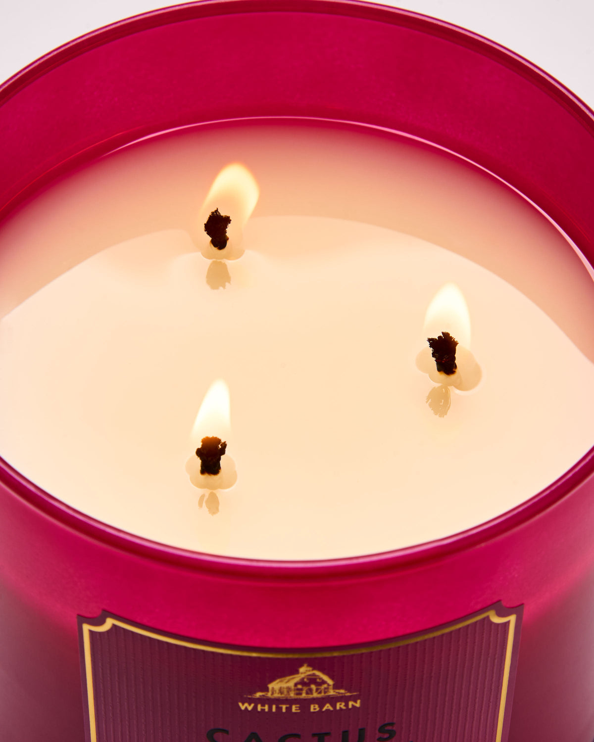 Cactus Blossom 3-Wick Candle image 5