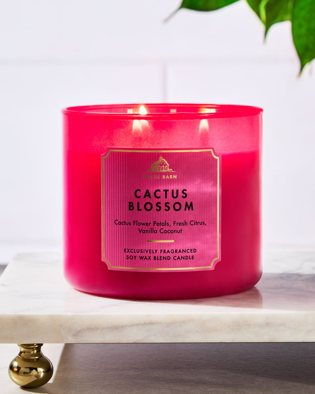Cactus Blossom 3-Wick Candle image 6