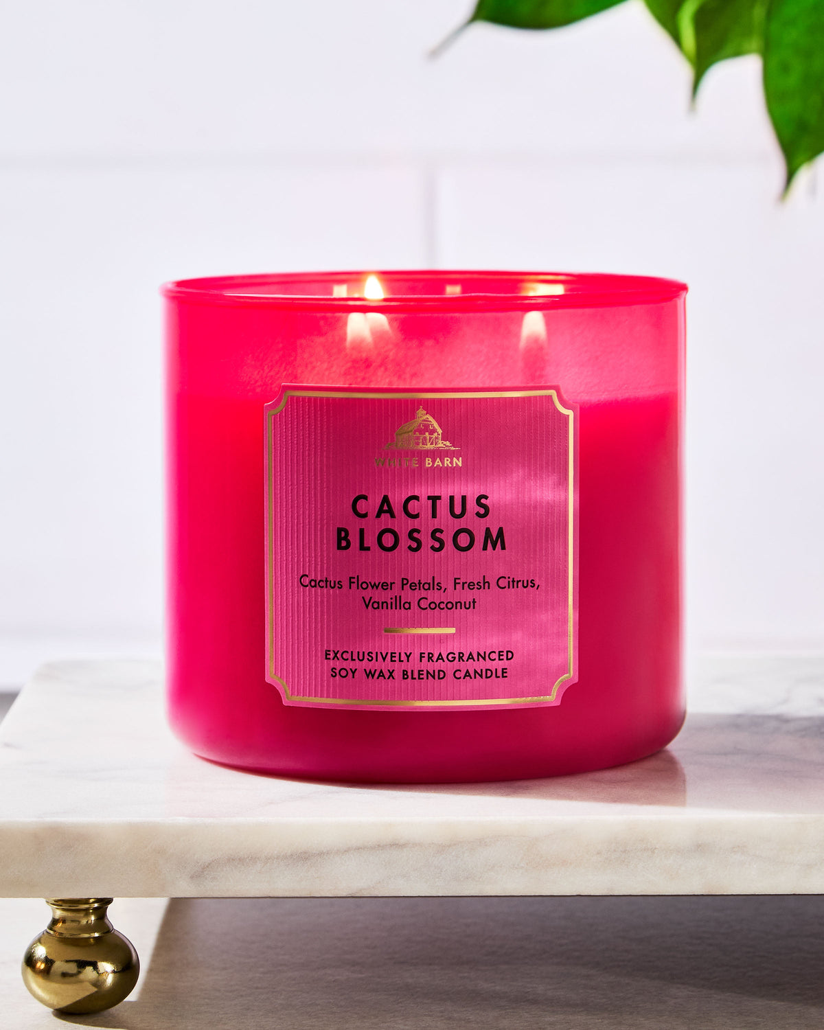 Cactus Blossom 3-Wick Candle image 6