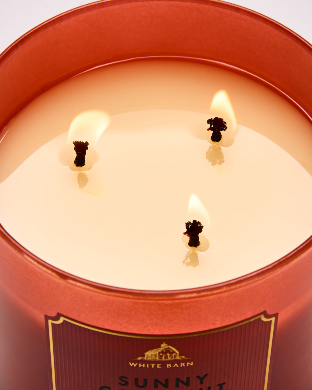 Sunny Coconut 3-Wick Candle image 4
