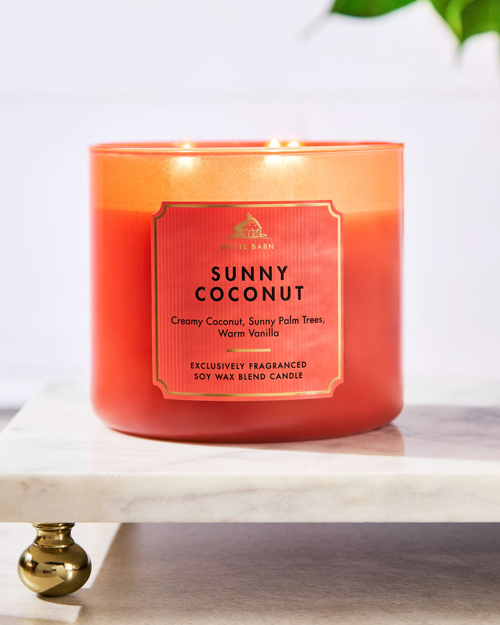 Sunny Coconut 3-Wick Candle image 5