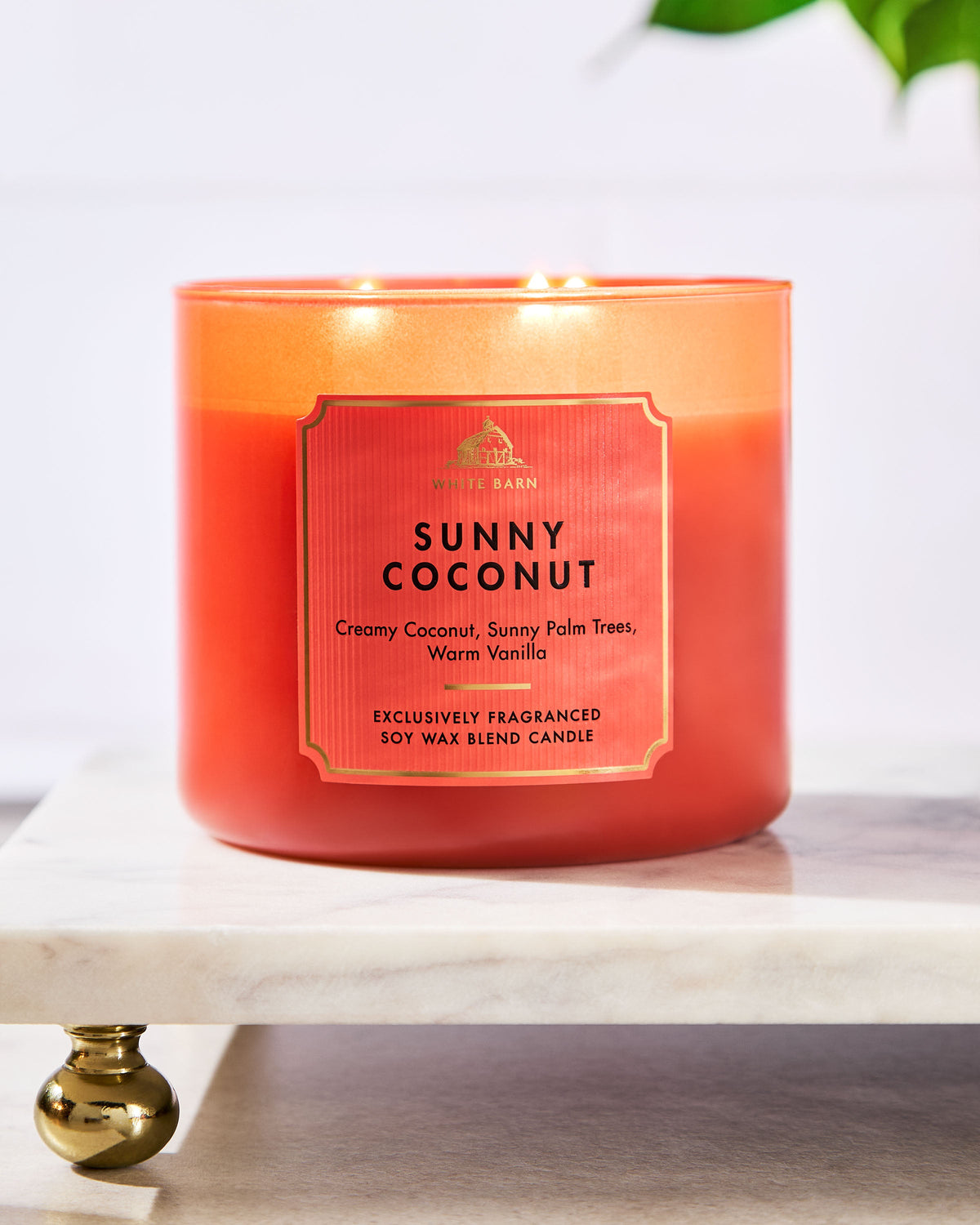 Sunny Coconut 3-Wick Candle image 5
