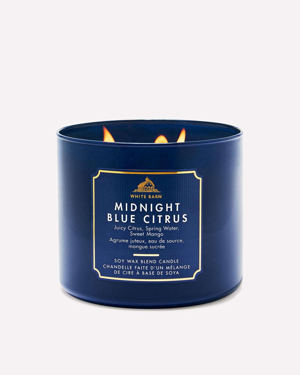 Midnight Blue Citrus 3-Wick Candle