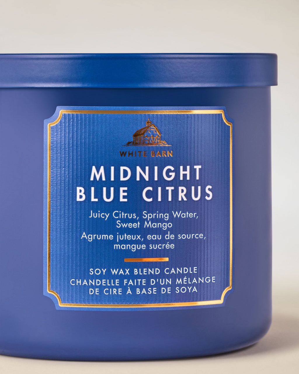 Midnight Blue Citrus 3-Wick Candle image 2