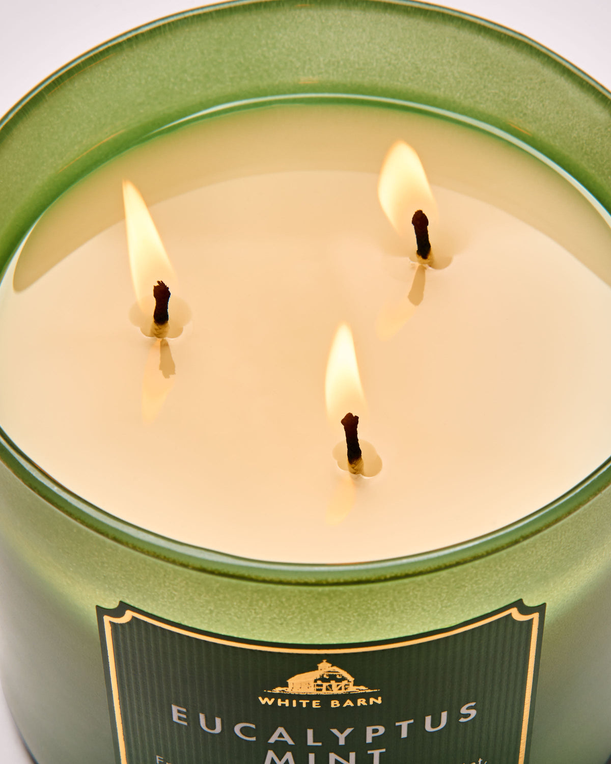 Eucalyptus Mint 3-Wick Candle image 4