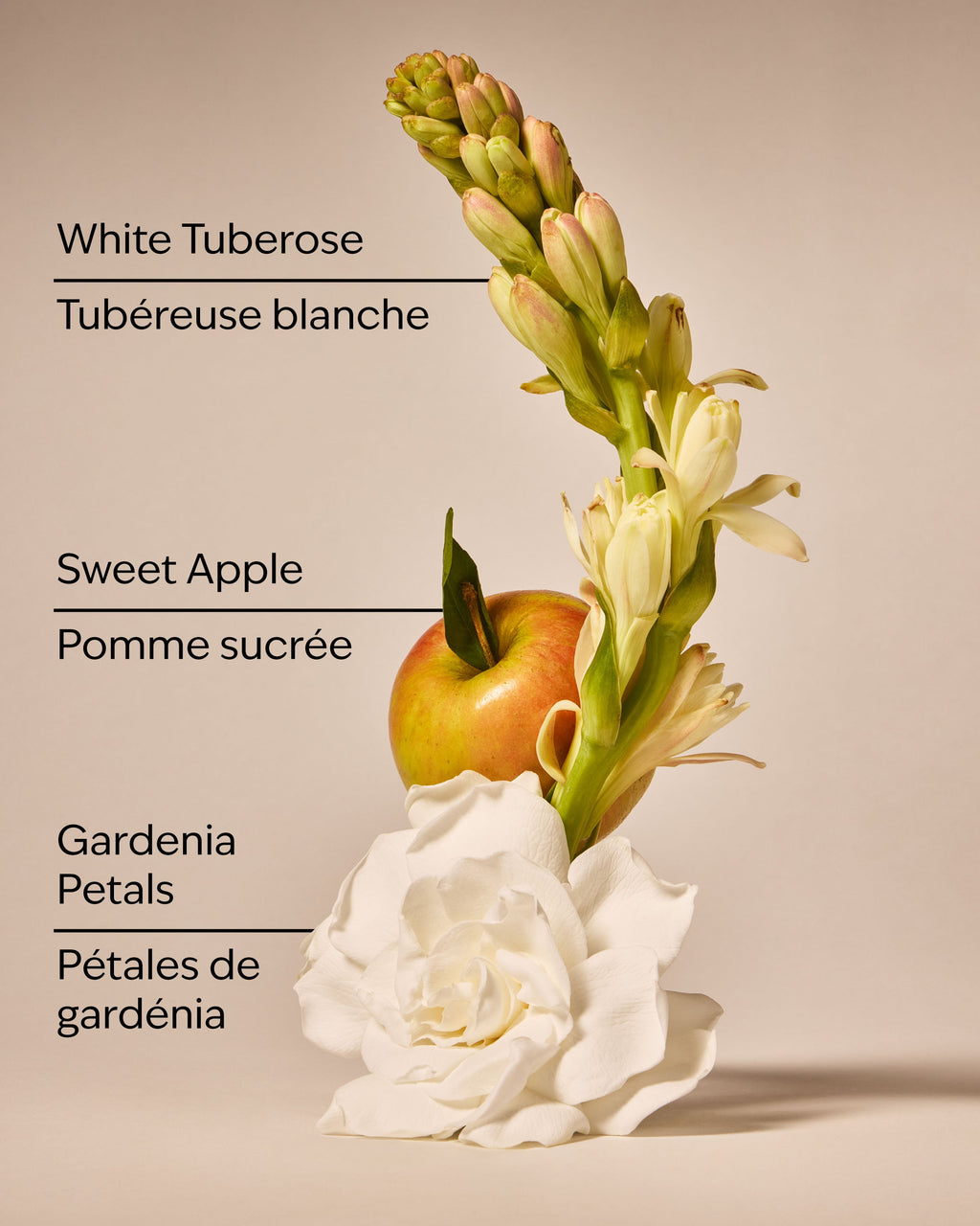 White Gardenia 3-Wick Candle image 3