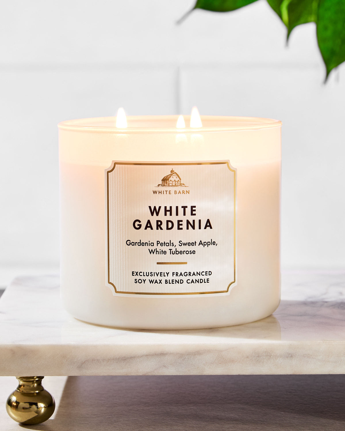 White Gardenia 3-Wick Candle image 6