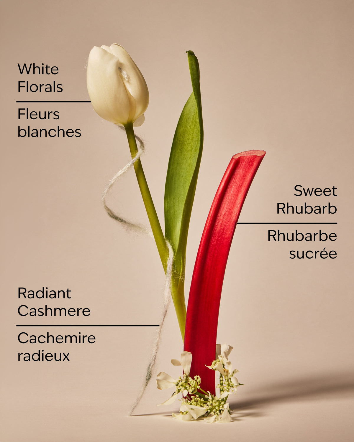 Imperfect Beauty Fine Fragrance Mist image 3