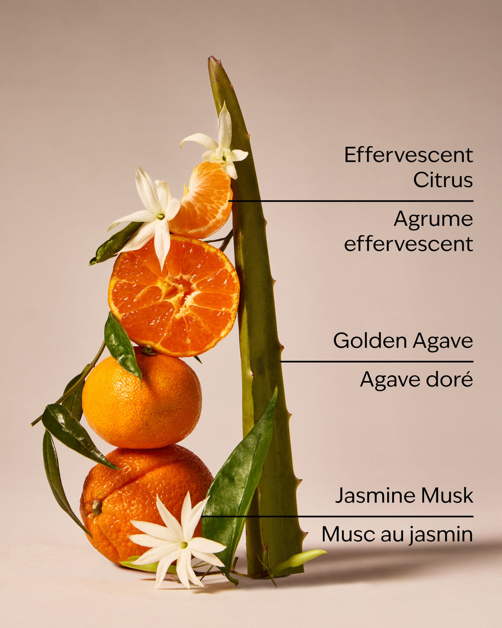 Sweet Orange & Agave Car Fragrance Refill image 3