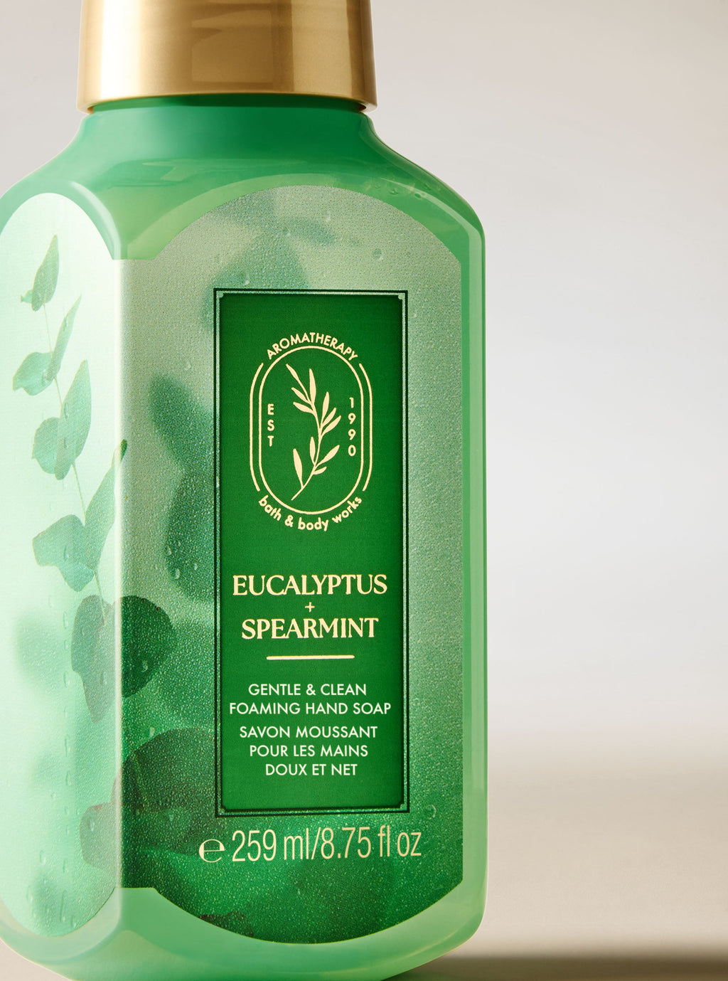 Eucalyptus Spearmint Gentle & Clean Foaming Hand Soap image 2