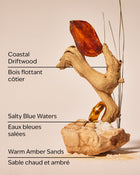 Sandbar Wallflowers Fragrance Refill image 3