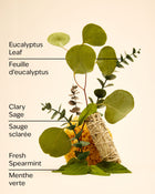 Eucalyptus Spearmint Travel Size Ultimate Hydration Body Cream image 3