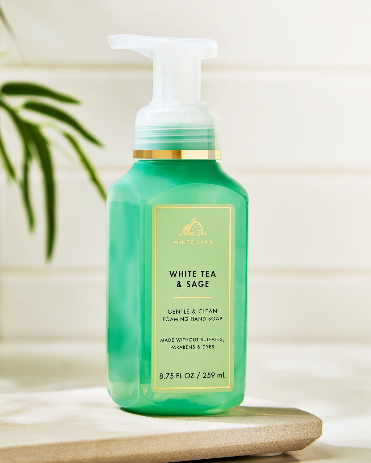 White Tea & Sage Gentle & Clean Foaming Hand Soap image 7