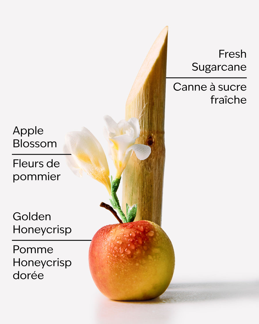 Honeycrisp Apple Wallflowers Fragrance Refill image 2