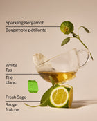 White Tea & Sage Concentrated Room Spray image 3